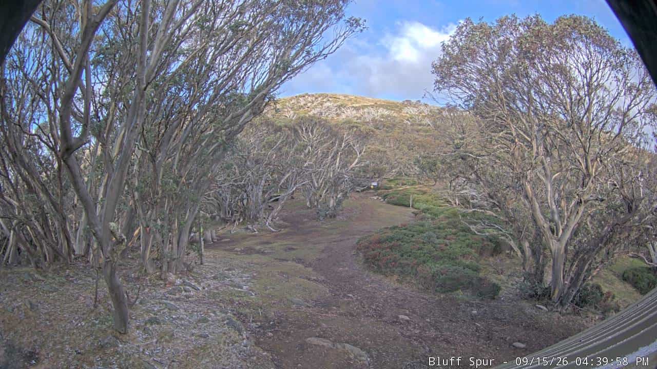 Mt Stirling Bluff Spur webcam frame captured 15 September 2026 at 4:45 pm AEST