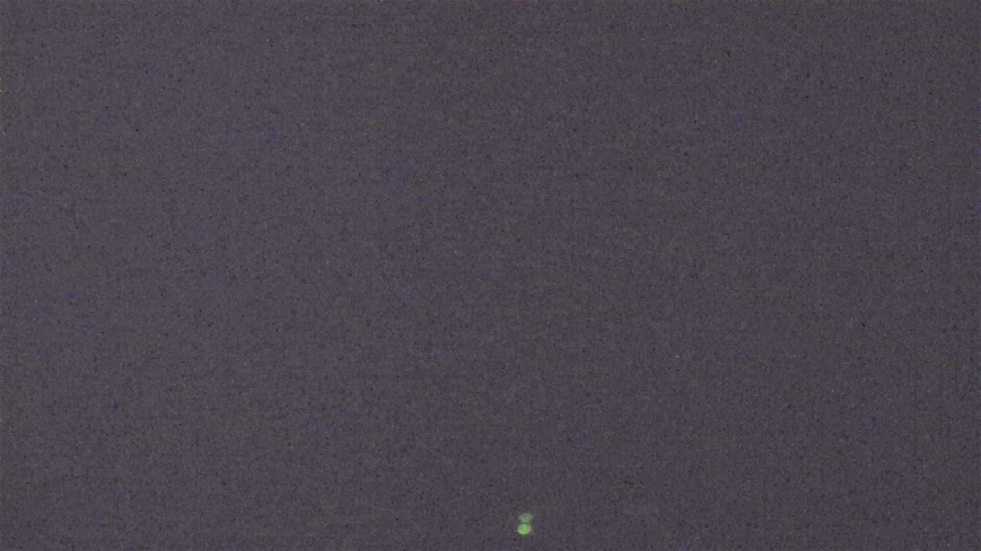 Cradle Mountain Dove Lake Carpark webcam frame captured 16 September 2026 at 12:52 am AEST