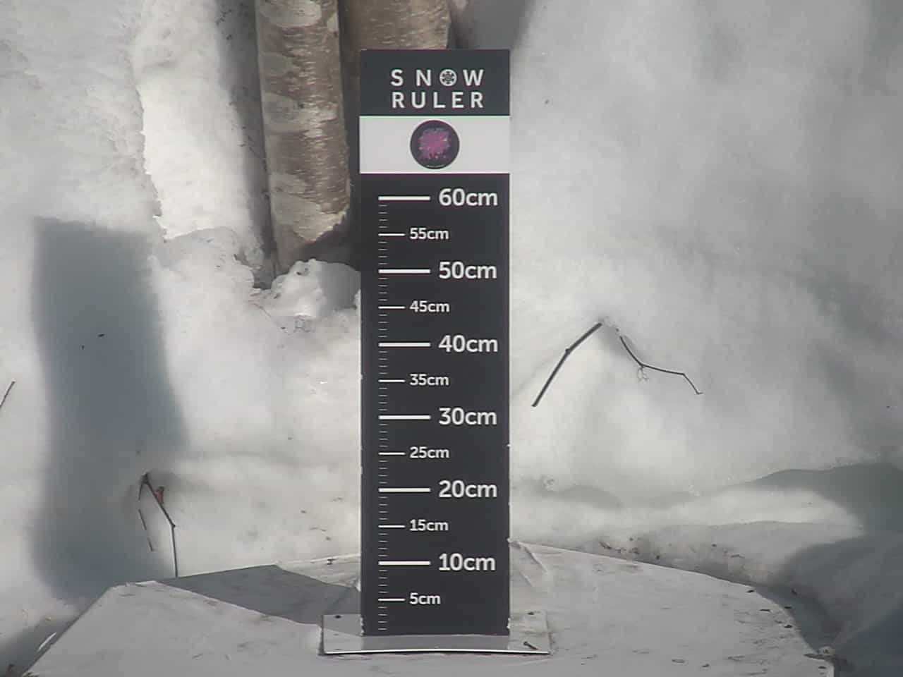 Rusutsu Mt Isola · 24-Hour Snowfall Camera webcam frame captured 10 September 2026 at 11:34 pm GMT+9