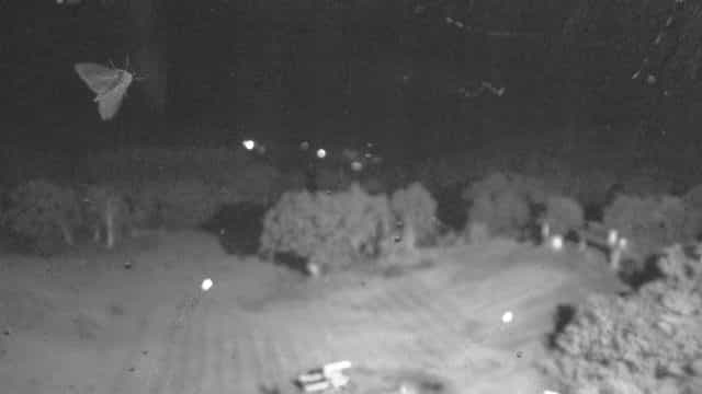 Minakami Kogen No. 3 Romance Lift · Okkirikomi and Sled Ride Courses webcam frame captured 15 September 2026 at 11:57 pm GMT+9