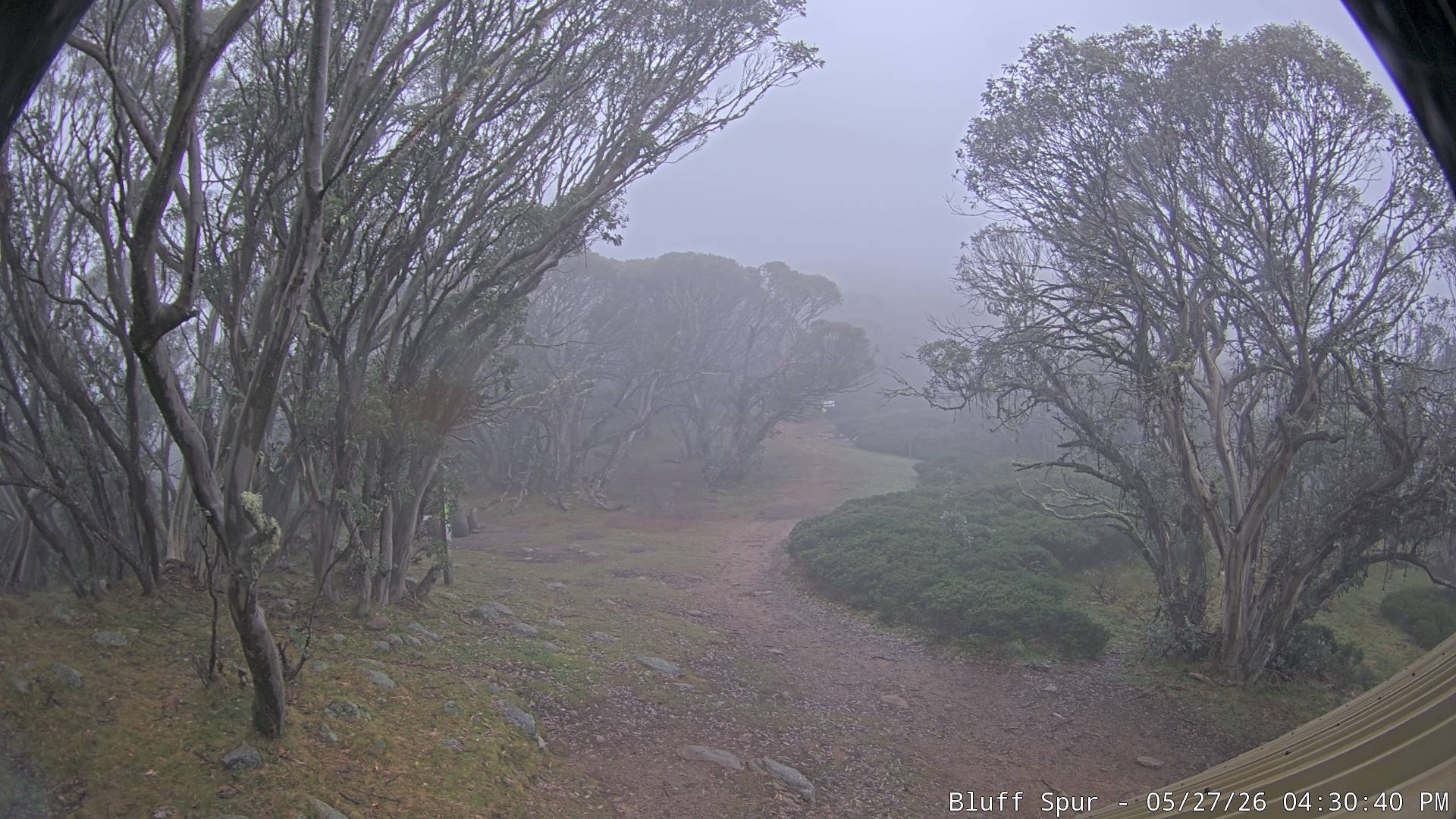 Mt Stirling Bluff Spur snow cam captured at 7 June 2026 at 11:05 pm AEST