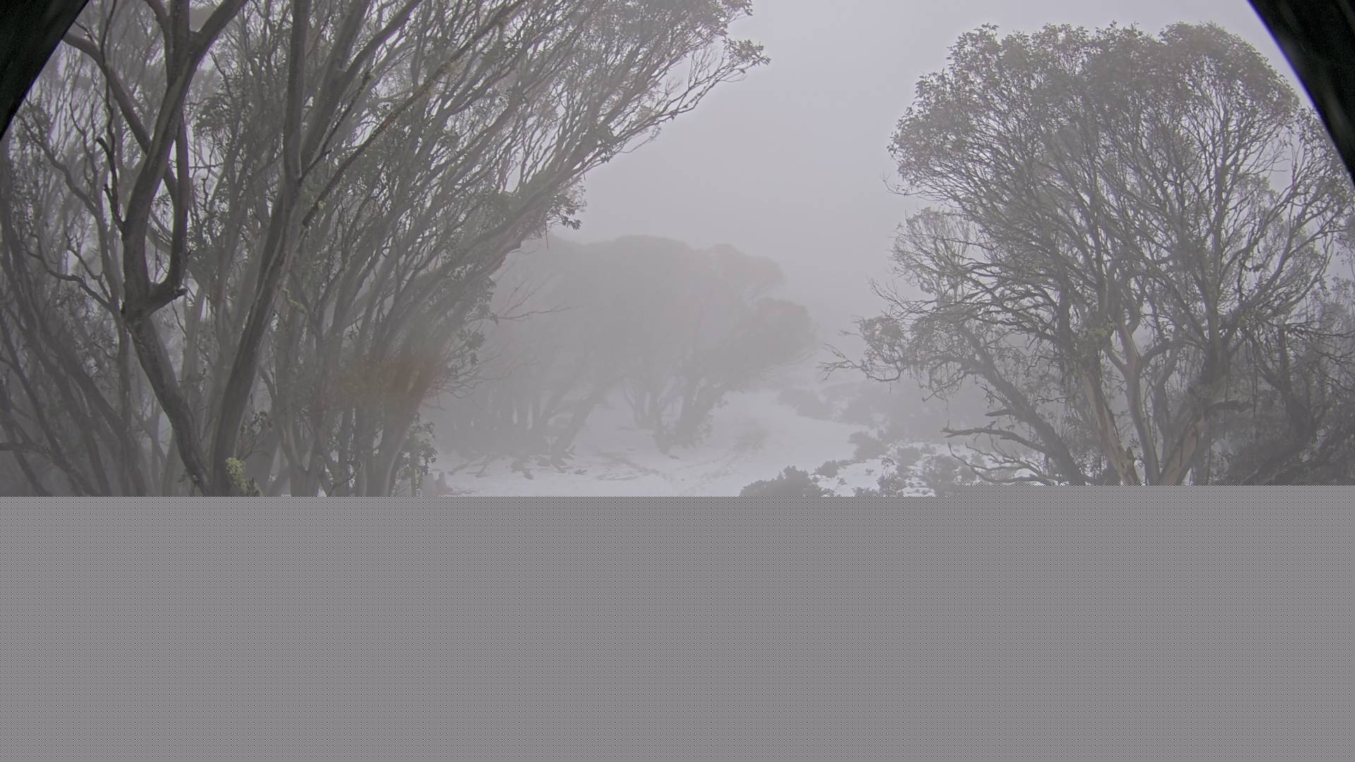 Mt Stirling Bluff Spur snow cam captured at 9 June 2026 at 4:34 pm AEST