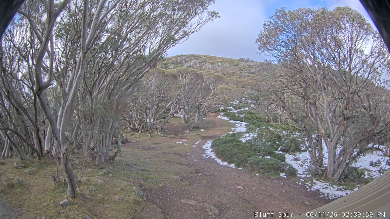 Mt Stirling Bluff Spur snow cam captured at 11 June 2026 at 2:44 pm AEST