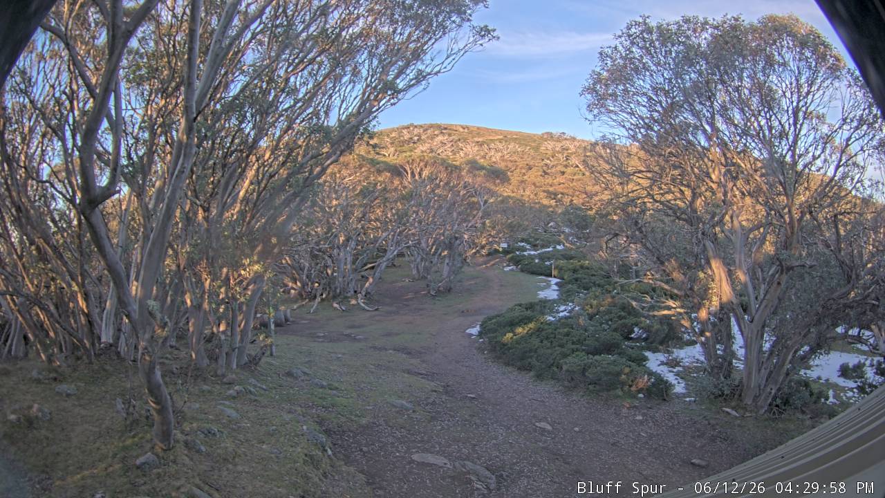 Mt Stirling Bluff Spur snow cam captured at 12 June 2026 at 4:32 pm AEST