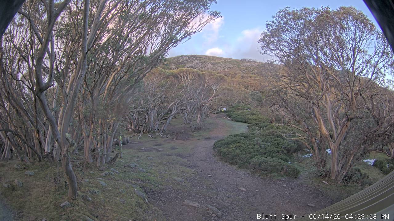 Mt Stirling Bluff Spur snow cam captured at 14 June 2026 at 4:31 pm AEST