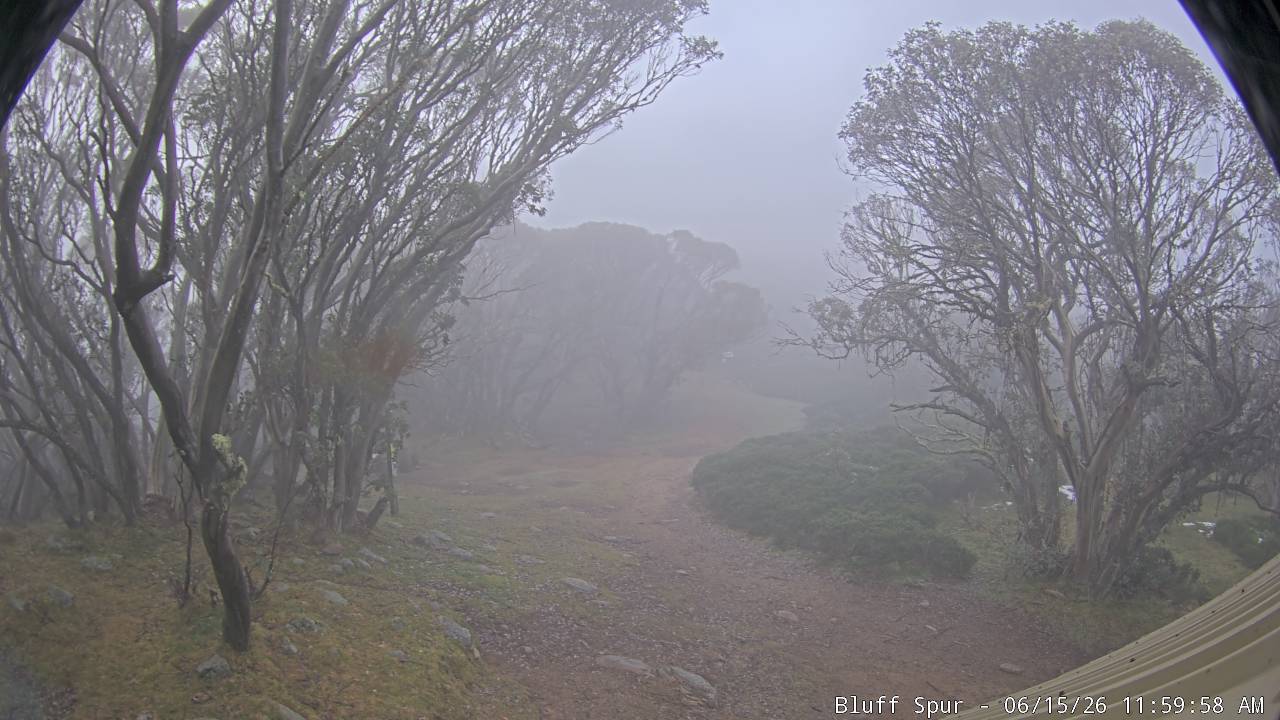 Mt Stirling Bluff Spur snow cam captured at 15 June 2026 at 12:01 pm AEST
