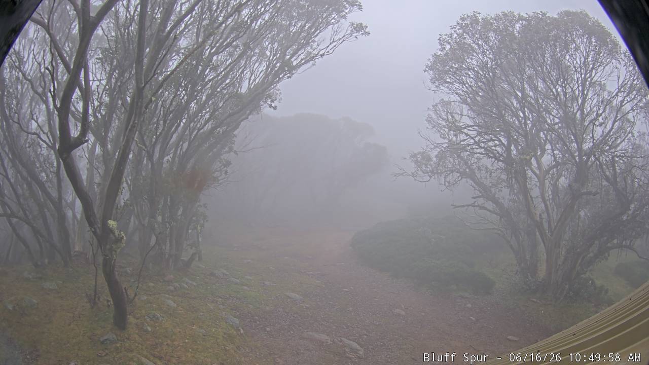 Mt Stirling Bluff Spur snow cam captured at 16 June 2026 at 10:54 am AEST