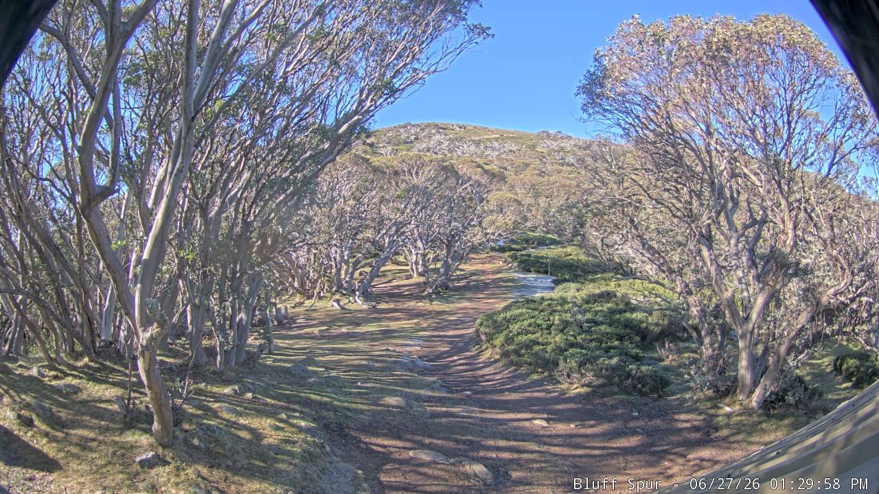Mt Stirling Bluff Spur snow cam captured at 28 June 2026 at 9:49 pm AEST