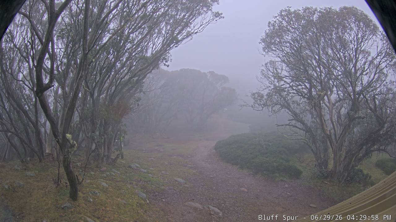 Mt Stirling Bluff Spur snow cam captured at 29 June 2026 at 4:30 pm AEST