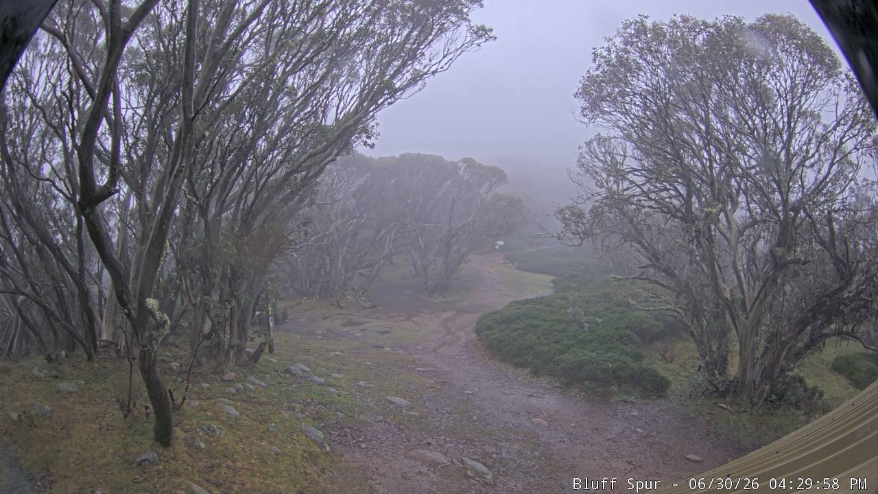 Mt Stirling Bluff Spur snow cam captured at 30 June 2026 at 4:35 pm AEST