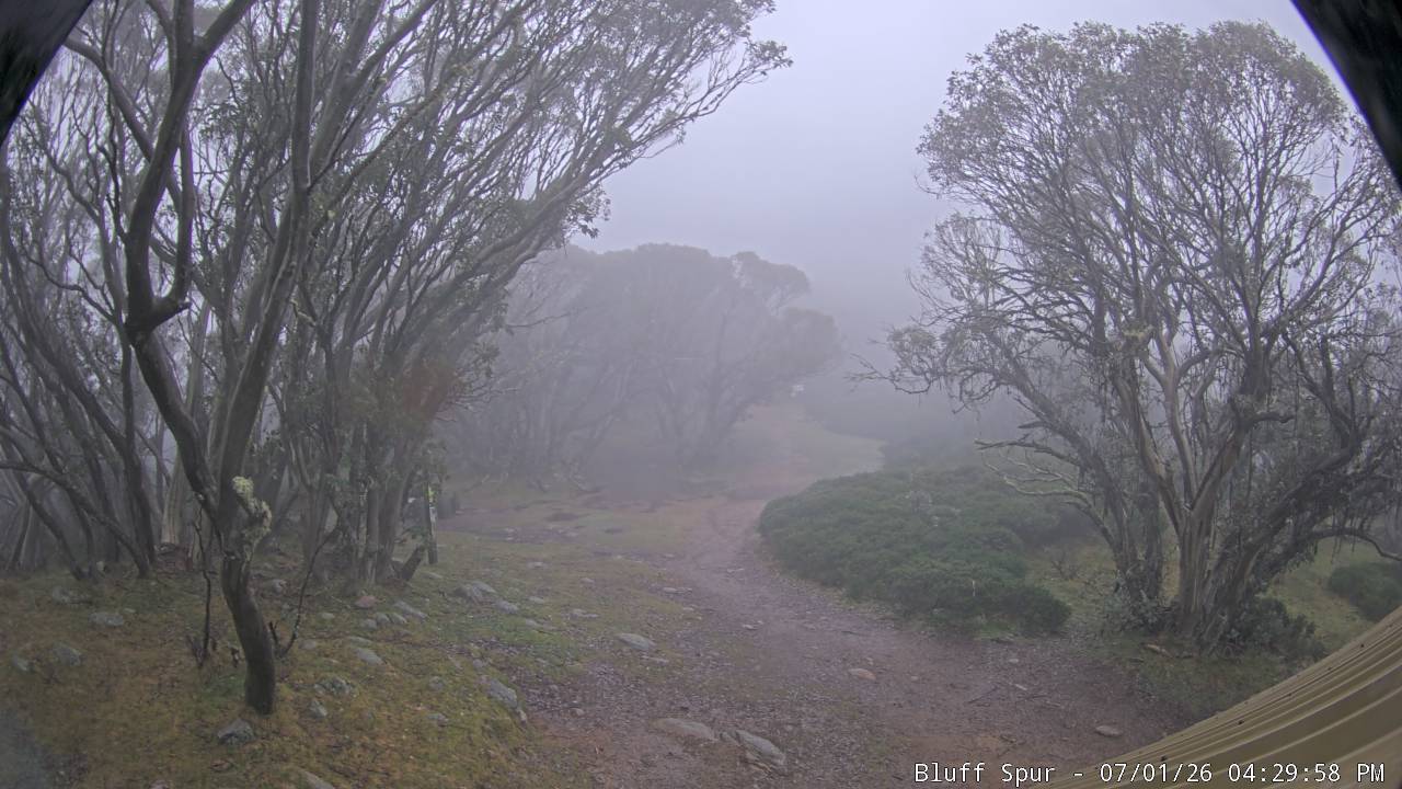 Mt Stirling Bluff Spur snow cam captured at 1 July 2026 at 4:35 pm AEST