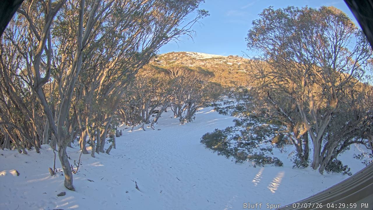 Mt Stirling Bluff Spur snow cam captured at 7 July 2026 at 4:37 pm AEST