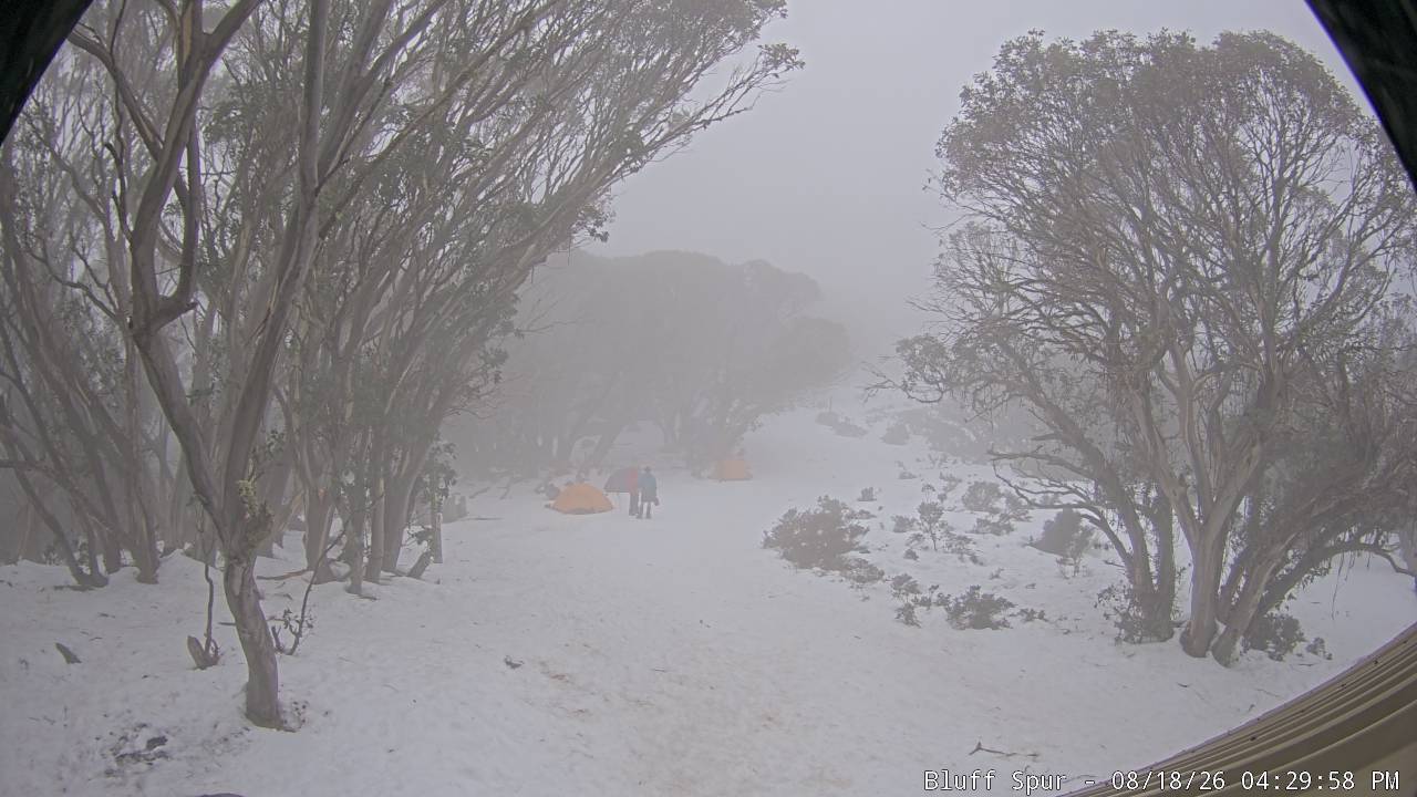 Mt Stirling Bluff Spur snow cam captured at 18 August 2026 at 4:38 pm AEST