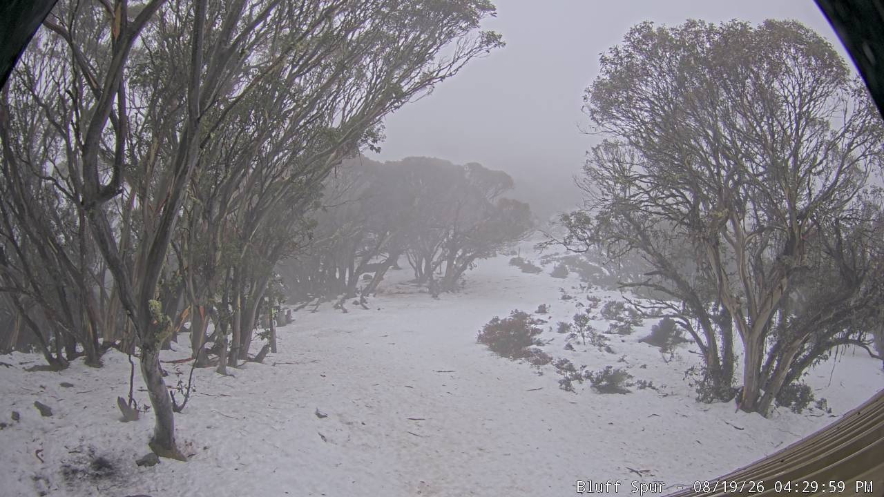 Mt Stirling Bluff Spur snow cam captured at 19 August 2026 at 4:39 pm AEST