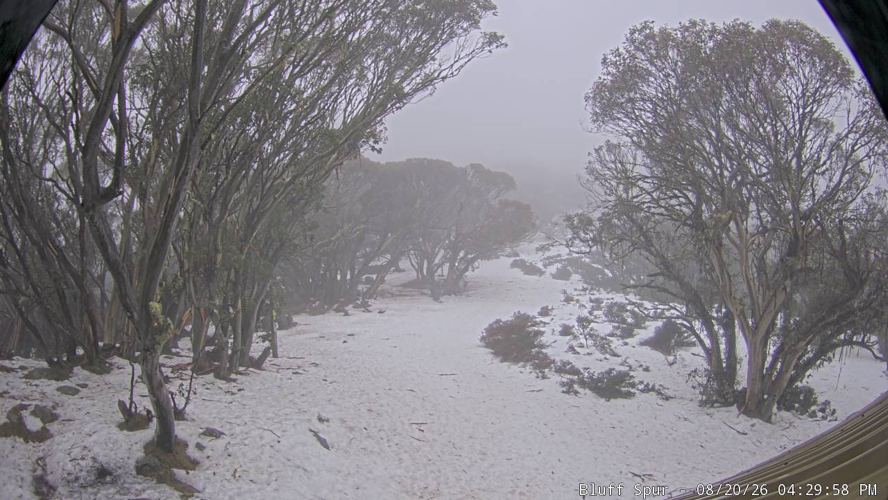 Mt Stirling Bluff Spur snow cam captured at 20 August 2026 at 4:40 pm AEST