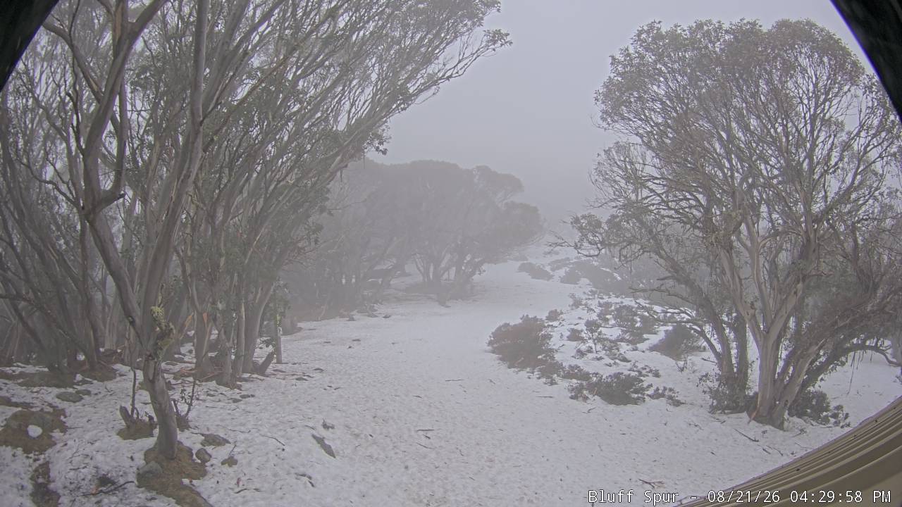 Mt Stirling Bluff Spur snow cam captured at 21 August 2026 at 4:30 pm AEST