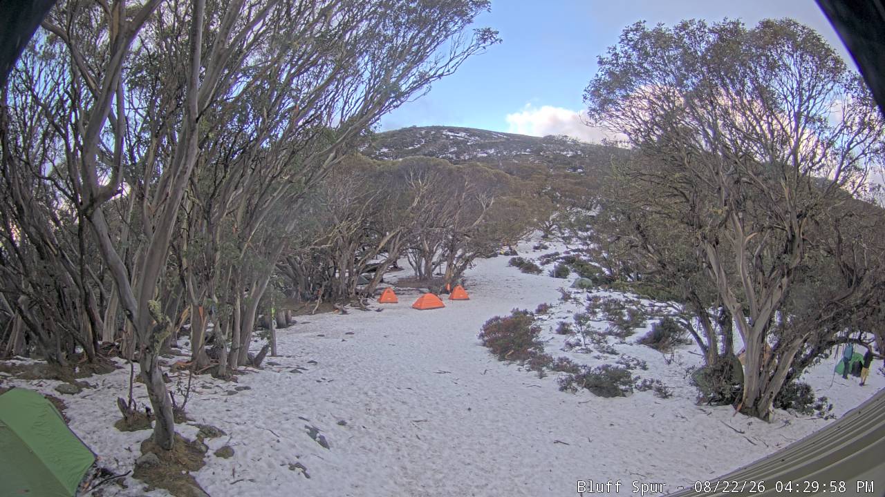 Mt Stirling Bluff Spur snow cam captured at 22 August 2026 at 4:31 pm AEST