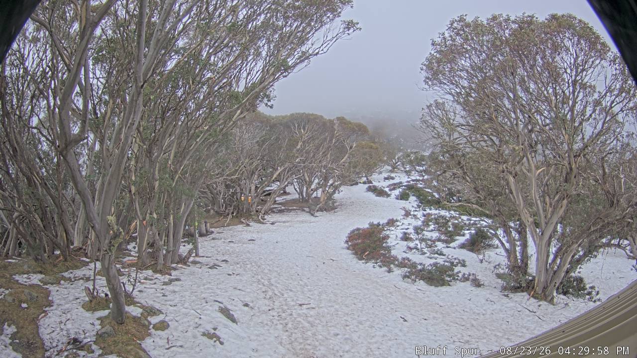 Mt Stirling Bluff Spur snow cam captured at 23 August 2026 at 4:32 pm AEST
