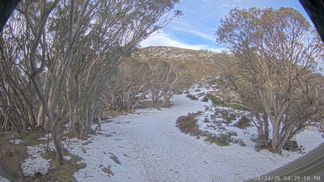 Mt Stirling Bluff Spur snow cam captured at 24 August 2026 at 4:33 pm AEST