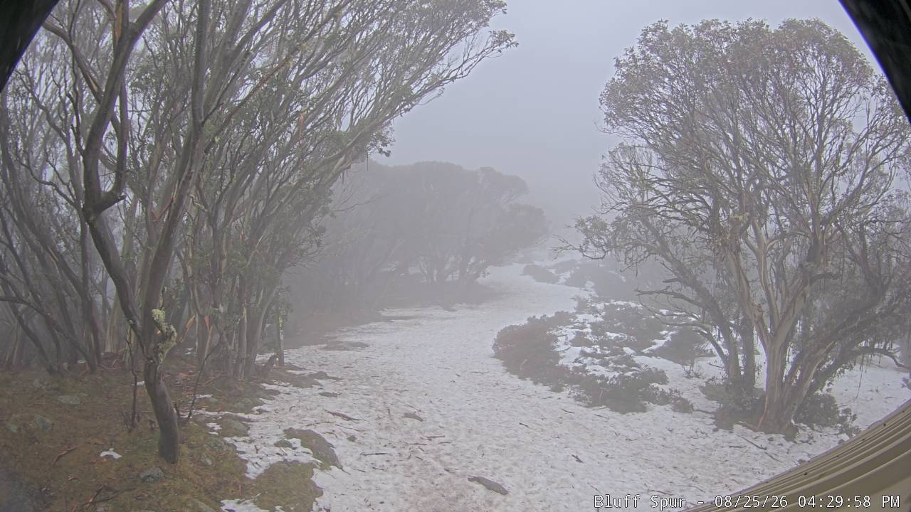 Mt Stirling Bluff Spur snow cam captured at 25 August 2026 at 4:34 pm AEST