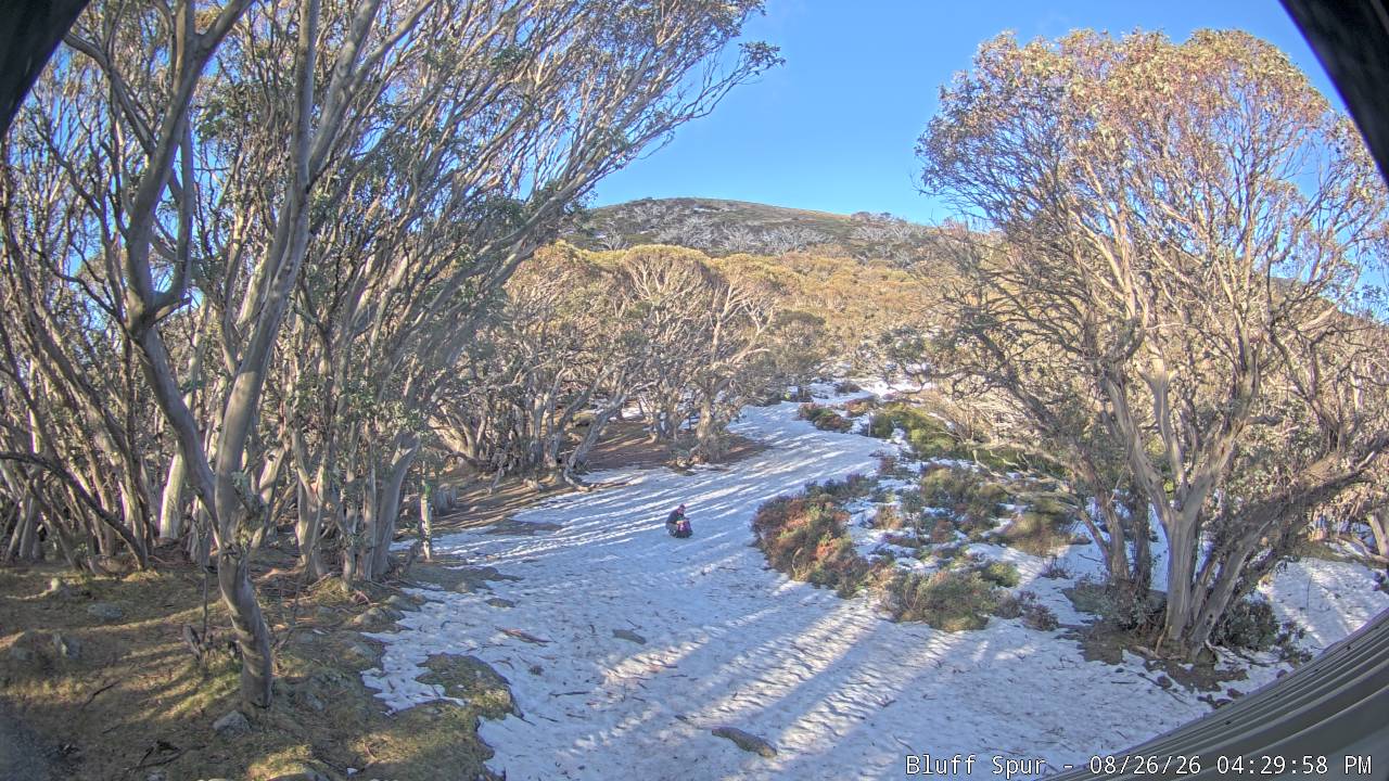 Mt Stirling Bluff Spur snow cam captured at 26 August 2026 at 4:35 pm AEST