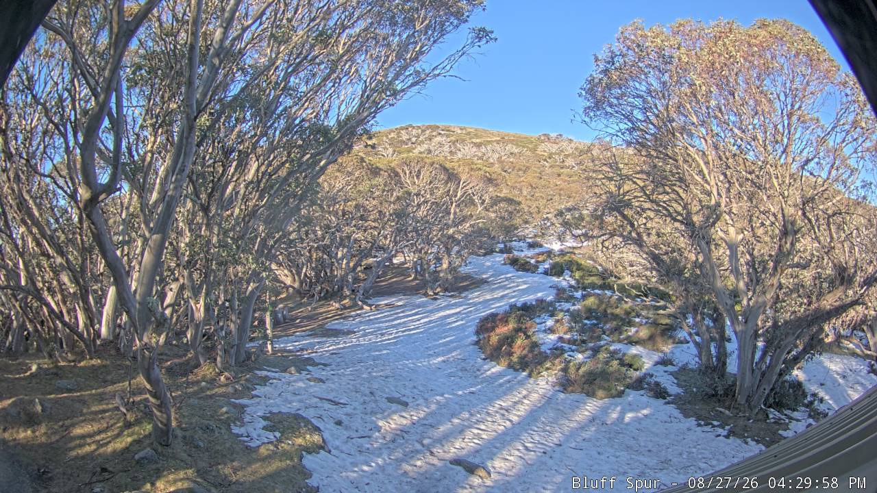 Mt Stirling Bluff Spur snow cam captured at 27 August 2026 at 4:36 pm AEST