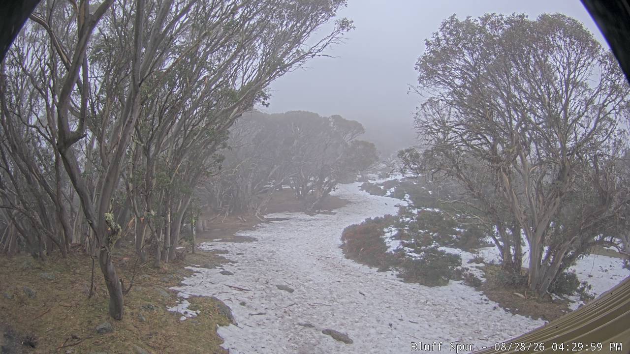 Mt Stirling Bluff Spur snow cam captured at 28 August 2026 at 4:37 pm AEST