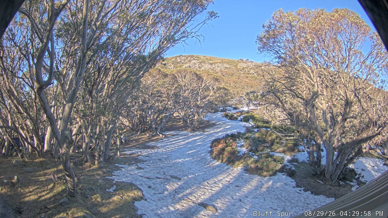 Mt Stirling Bluff Spur snow cam captured at 29 August 2026 at 4:38 pm AEST