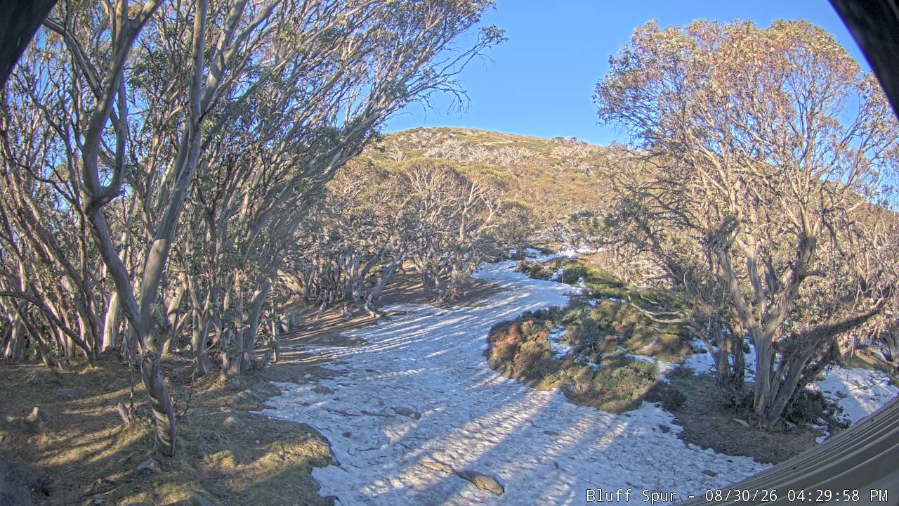 Mt Stirling Bluff Spur snow cam captured at 30 August 2026 at 4:39 pm AEST