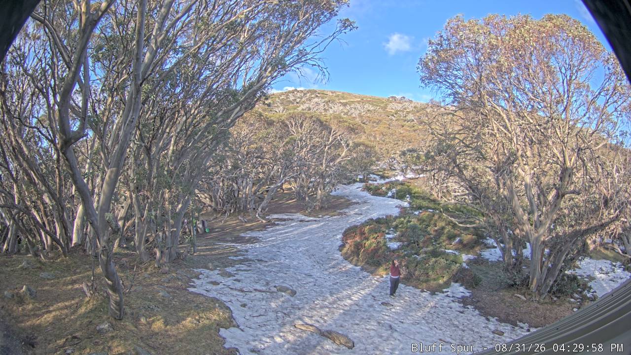 Mt Stirling Bluff Spur snow cam captured at 31 August 2026 at 4:40 pm AEST