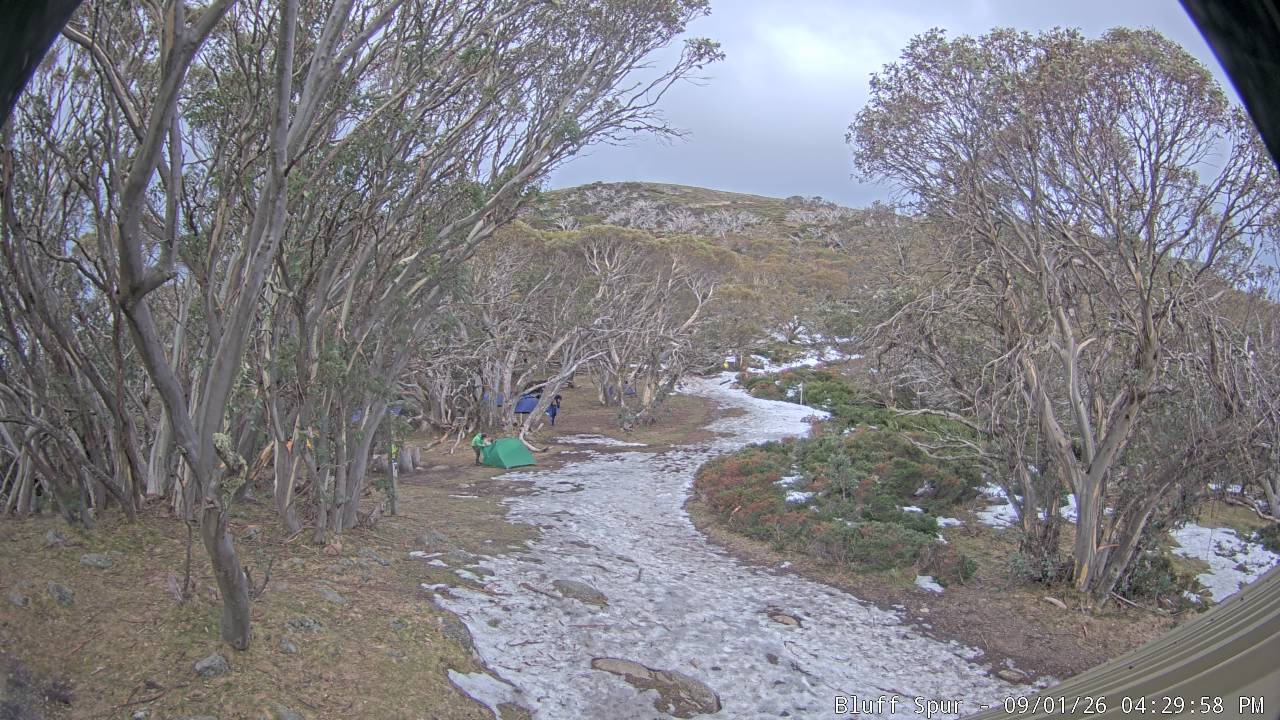 Mt Stirling Bluff Spur snow cam captured at 1 September 2026 at 5:41 pm AEST
