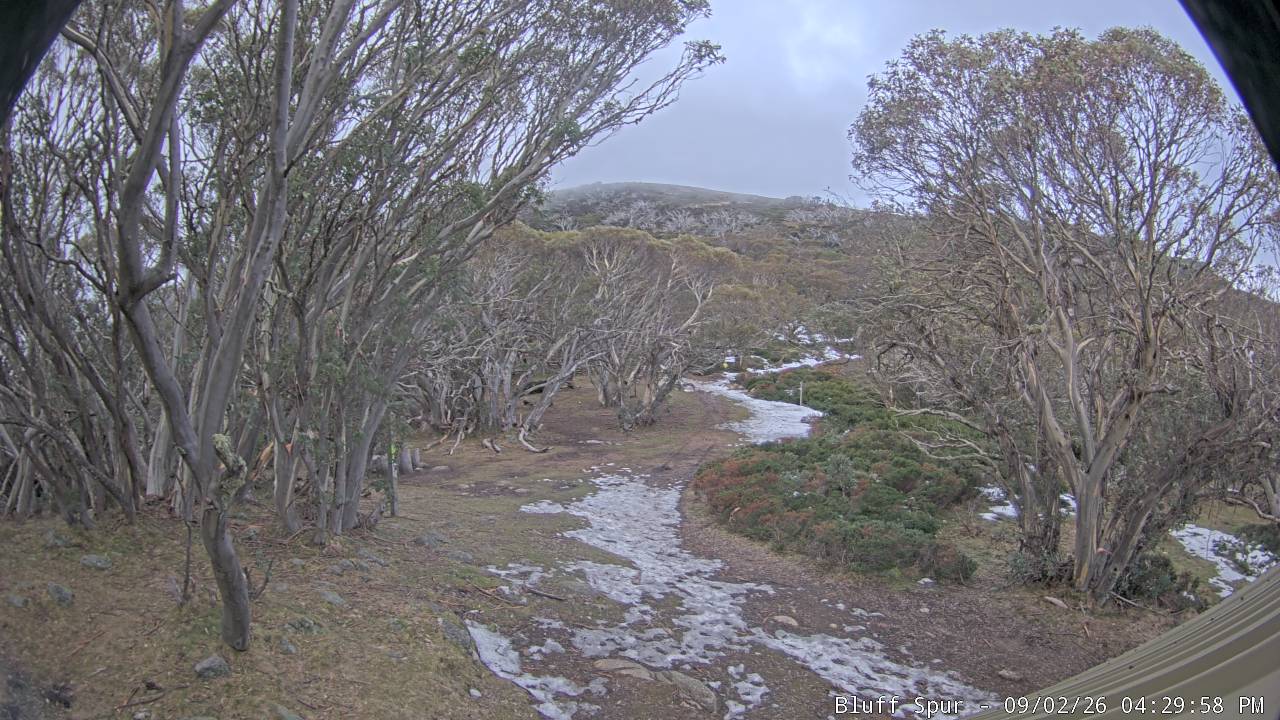 Mt Stirling Bluff Spur snow cam captured at 2 September 2026 at 4:36 pm AEST