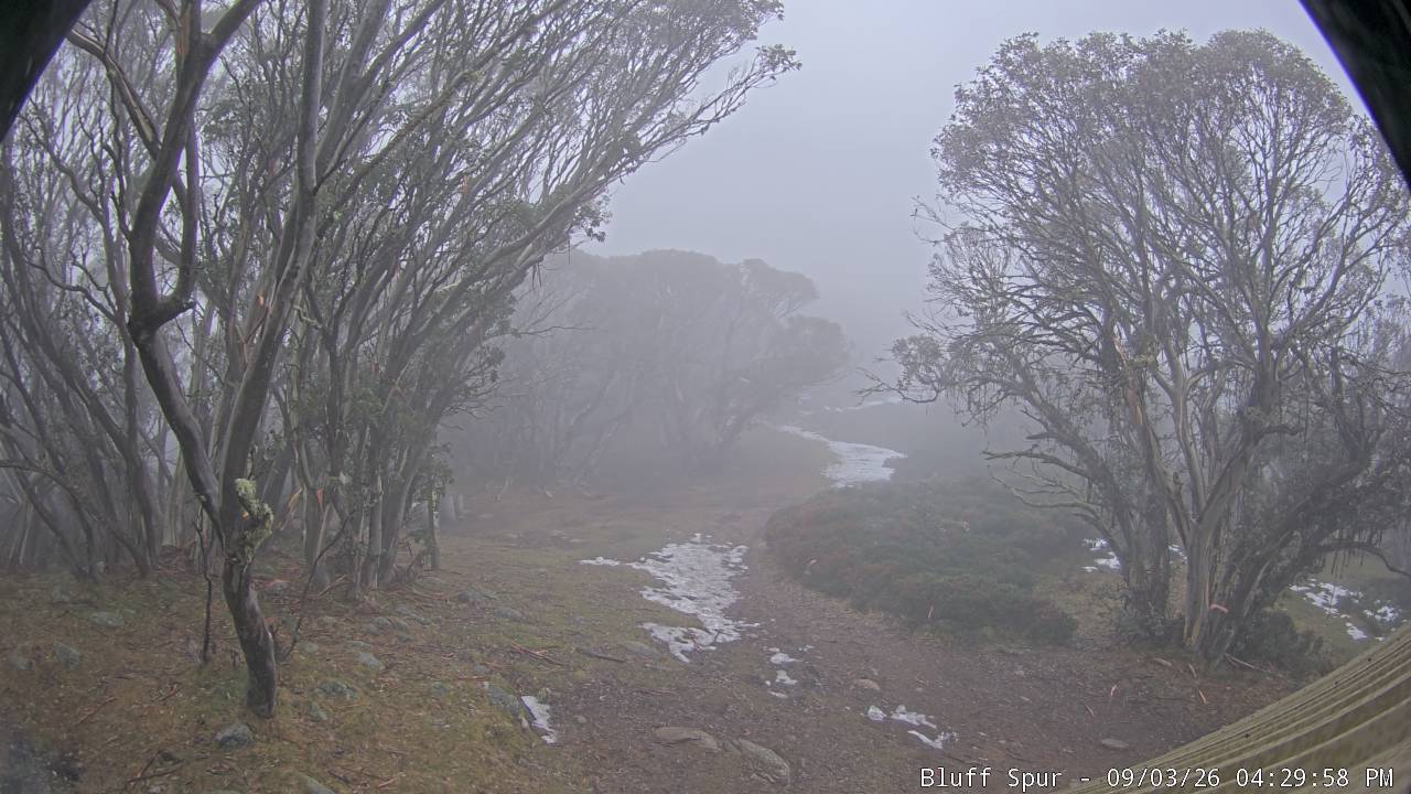 Mt Stirling Bluff Spur snow cam captured at 3 September 2026 at 4:34 pm AEST
