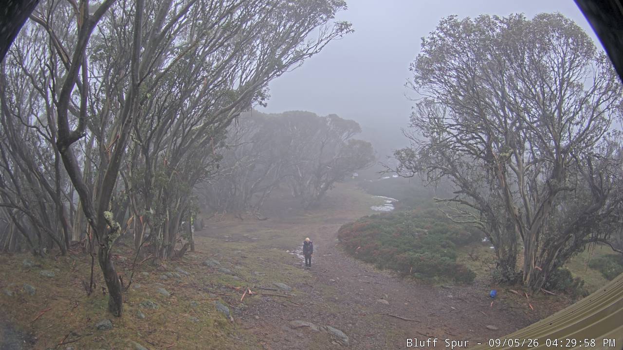 Mt Stirling Bluff Spur snow cam captured at 5 September 2026 at 4:32 pm AEST