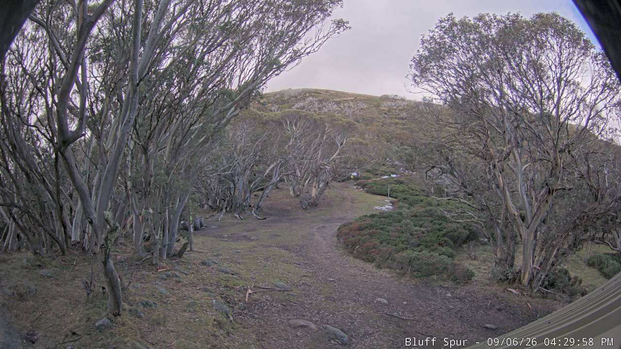 Mt Stirling Bluff Spur snow cam captured at 6 September 2026 at 4:39 pm AEST