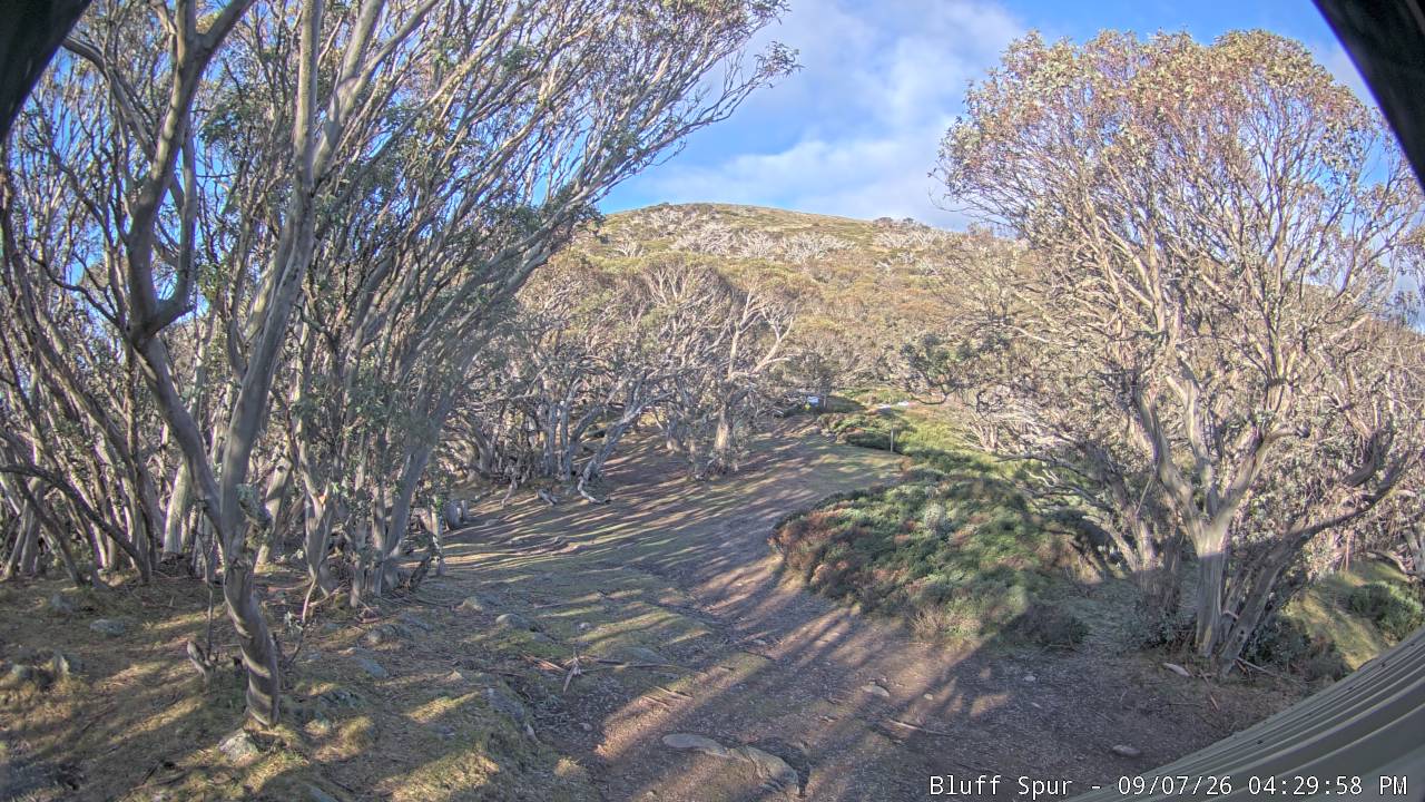 Mt Stirling Bluff Spur snow cam captured at 7 September 2026 at 4:38 pm AEST