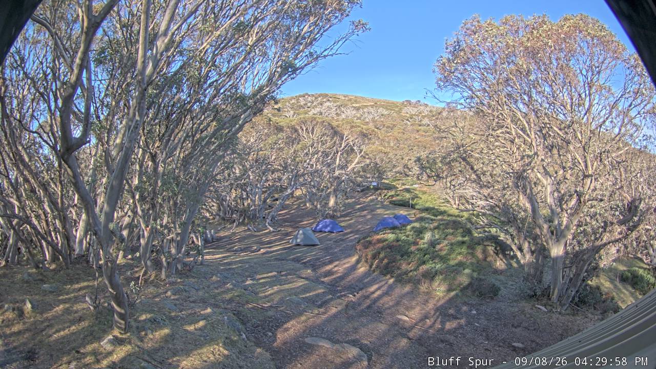 Mt Stirling Bluff Spur snow cam captured at 8 September 2026 at 4:38 pm AEST