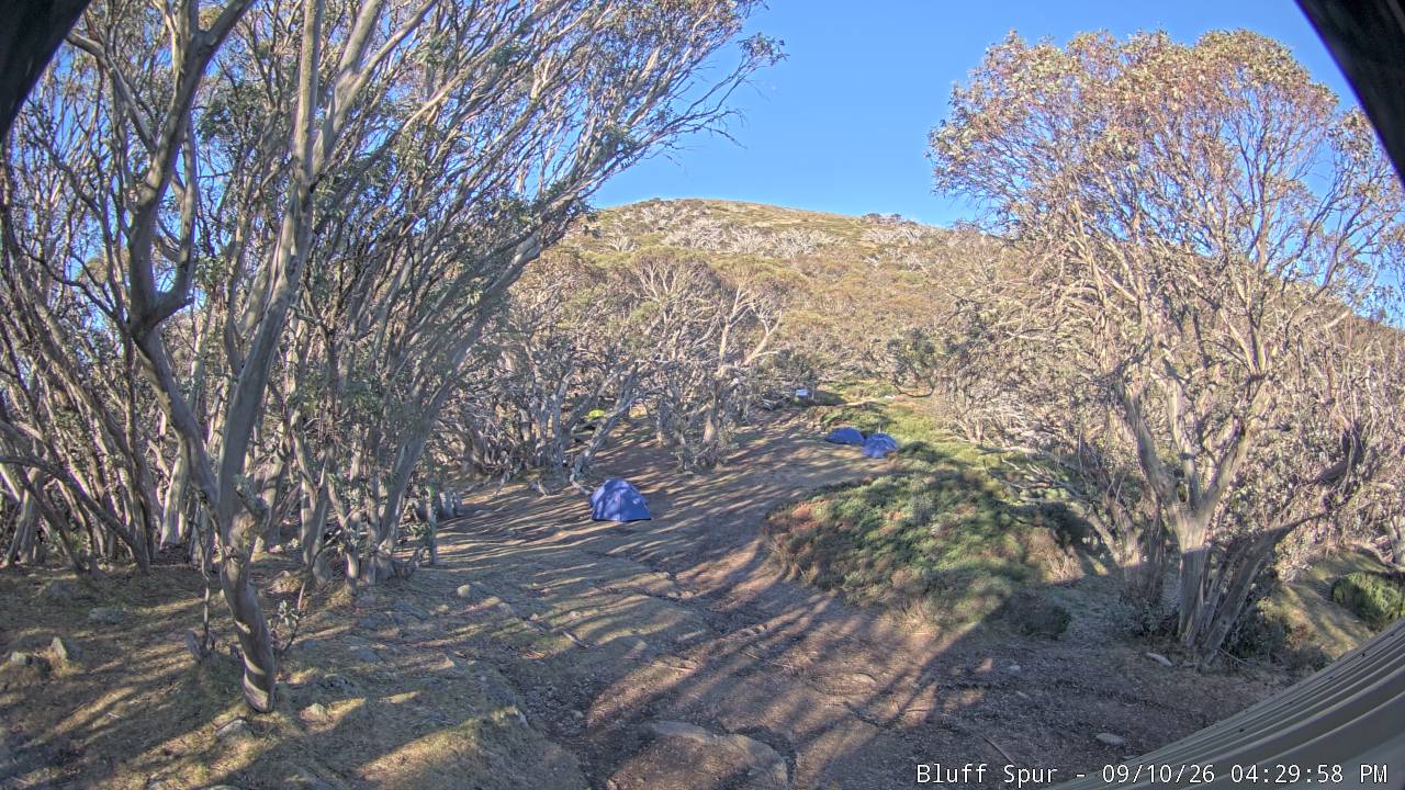 Mt Stirling Bluff Spur snow cam captured at 10 September 2026 at 4:39 pm AEST