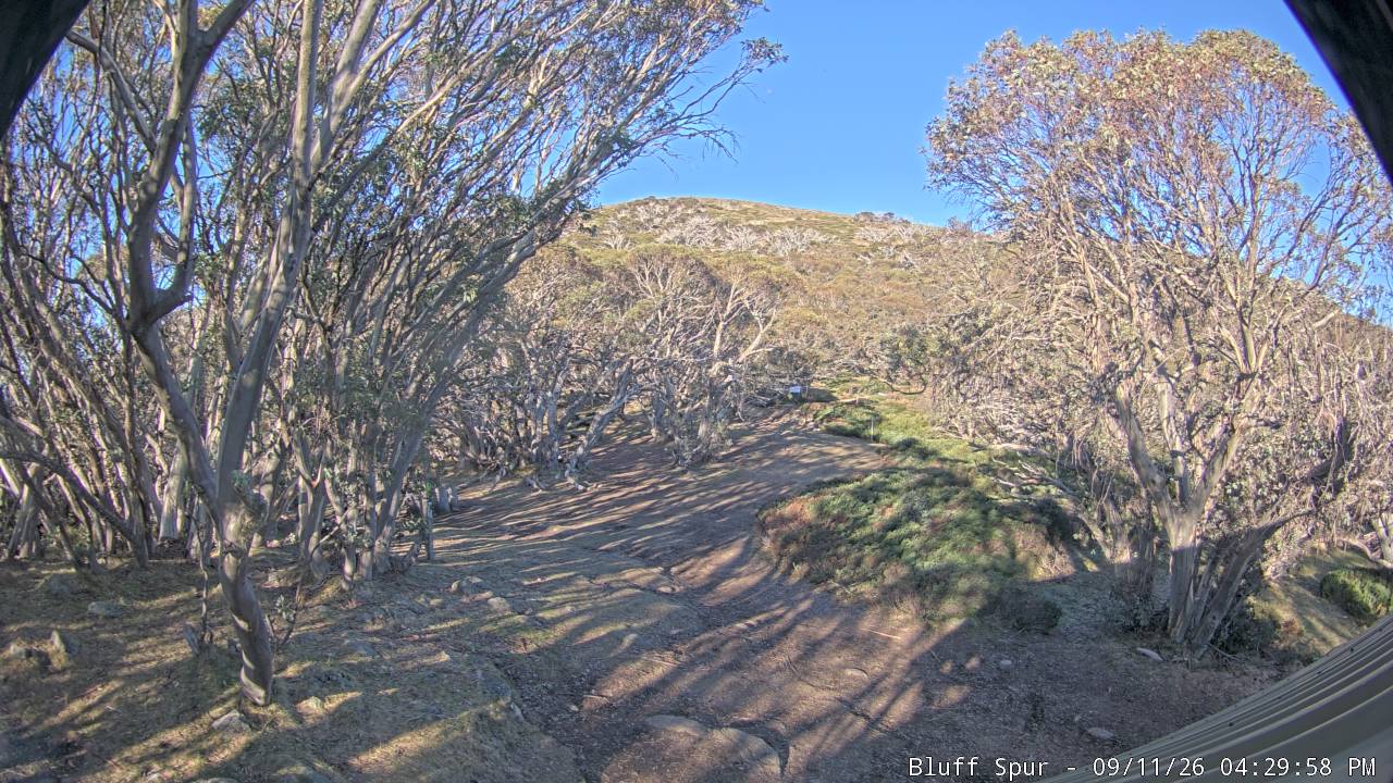 Mt Stirling Bluff Spur snow cam captured at 11 September 2026 at 4:30 pm AEST