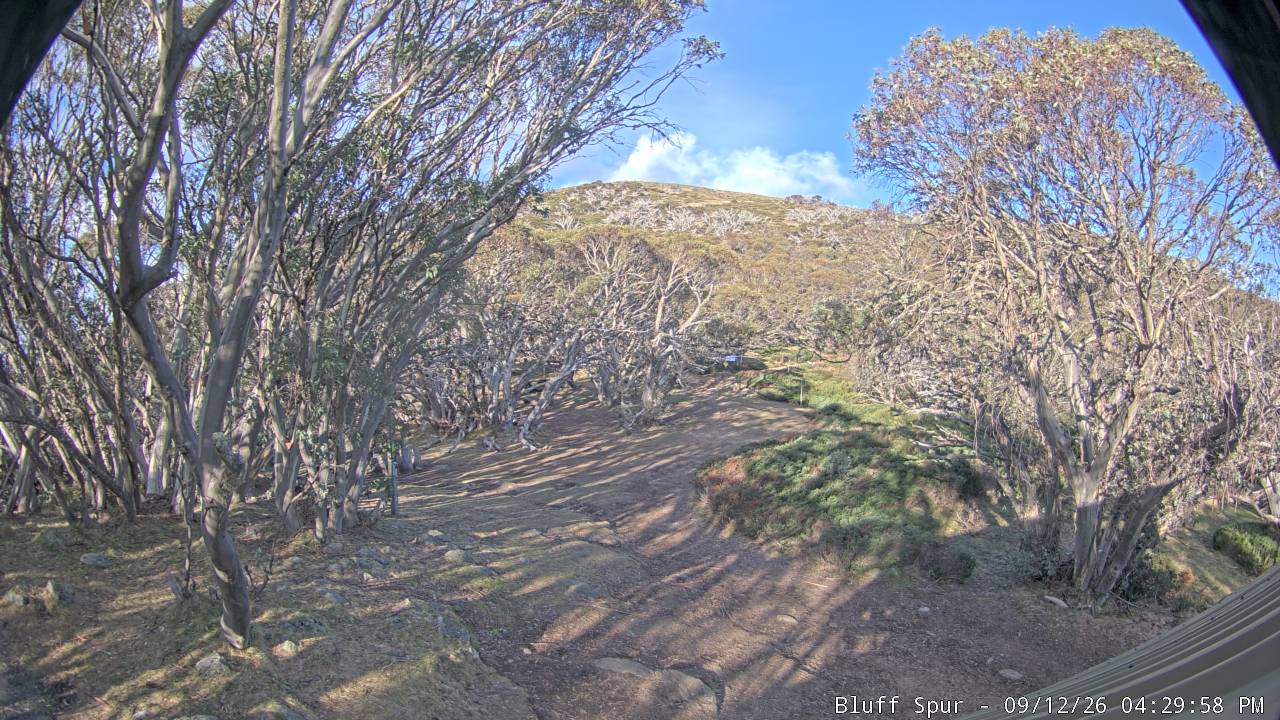 Mt Stirling Bluff Spur snow cam captured at 12 September 2026 at 4:31 pm AEST