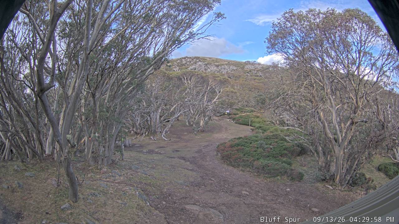 Mt Stirling Bluff Spur snow cam captured at 13 September 2026 at 4:34 pm AEST