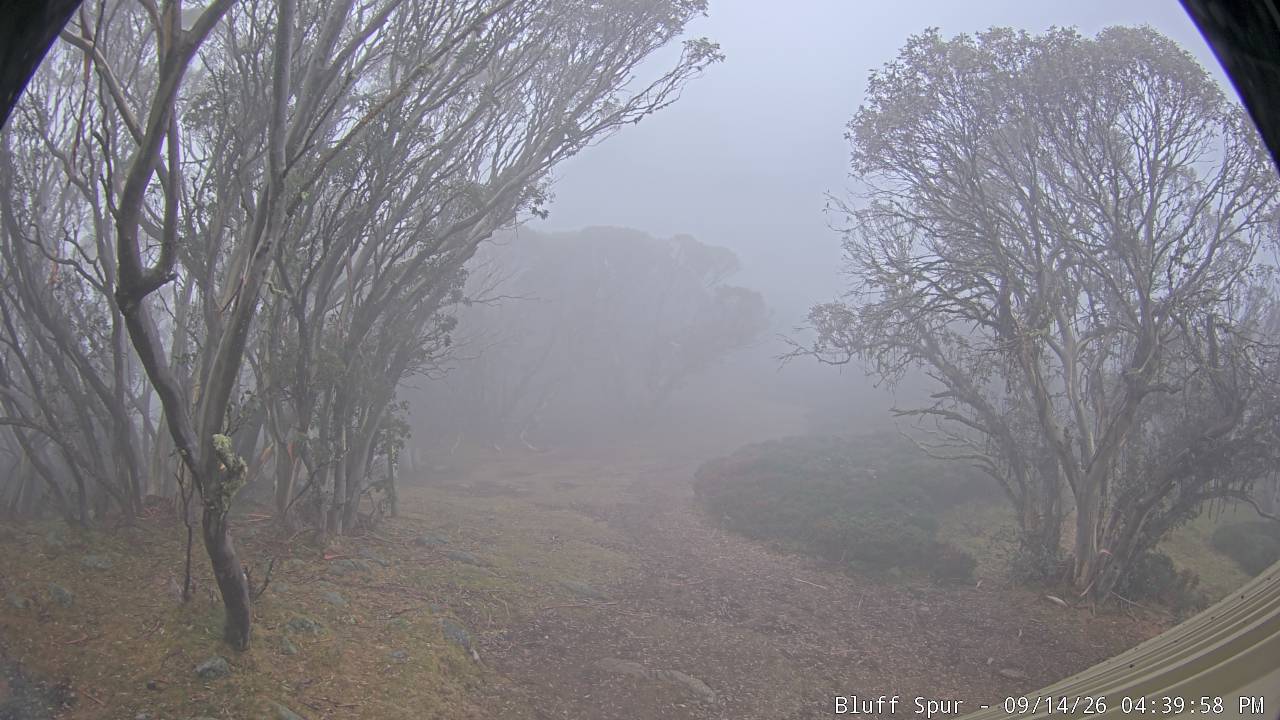 Mt Stirling Bluff Spur snow cam captured at 14 September 2026 at 4:49 pm AEST