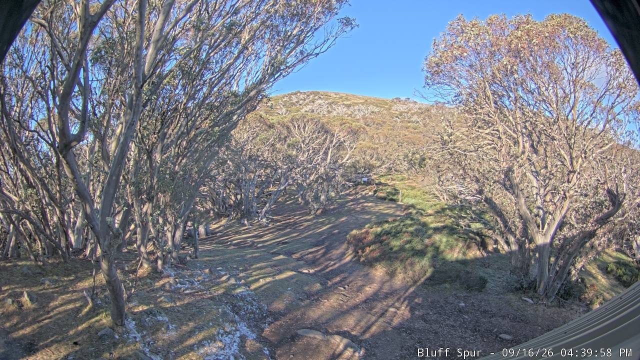 Mt Stirling Bluff Spur snow cam captured at 16 September 2026 at 4:46 pm AEST