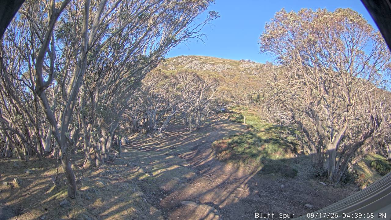 Mt Stirling Bluff Spur snow cam captured at 17 September 2026 at 4:49 pm AEST