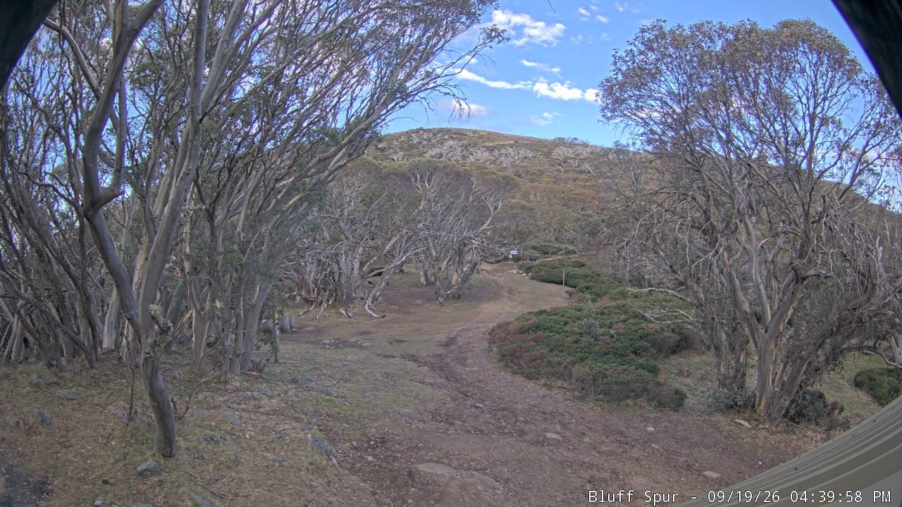 Mt Stirling Bluff Spur snow cam captured at 19 September 2026 at 4:41 pm AEST