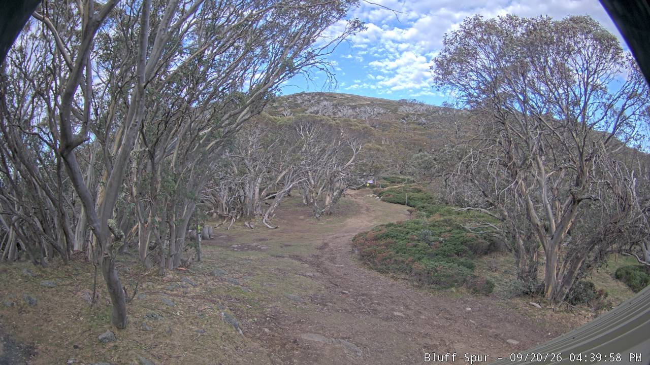 Mt Stirling Bluff Spur snow cam captured at 20 September 2026 at 4:46 pm AEST