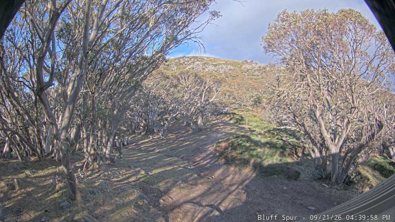 Mt Stirling Bluff Spur snow cam captured at 21 September 2026 at 4:46 pm AEST