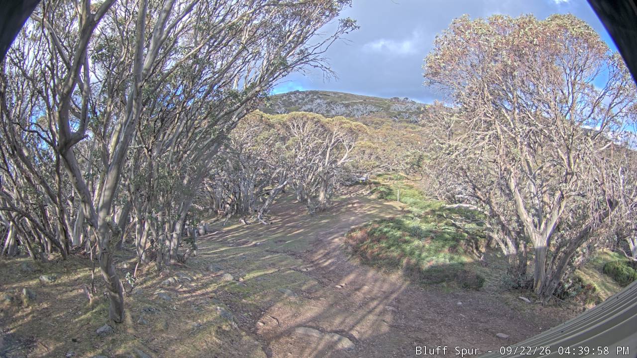 Mt Stirling Bluff Spur snow cam captured at 22 September 2026 at 4:45 pm AEST