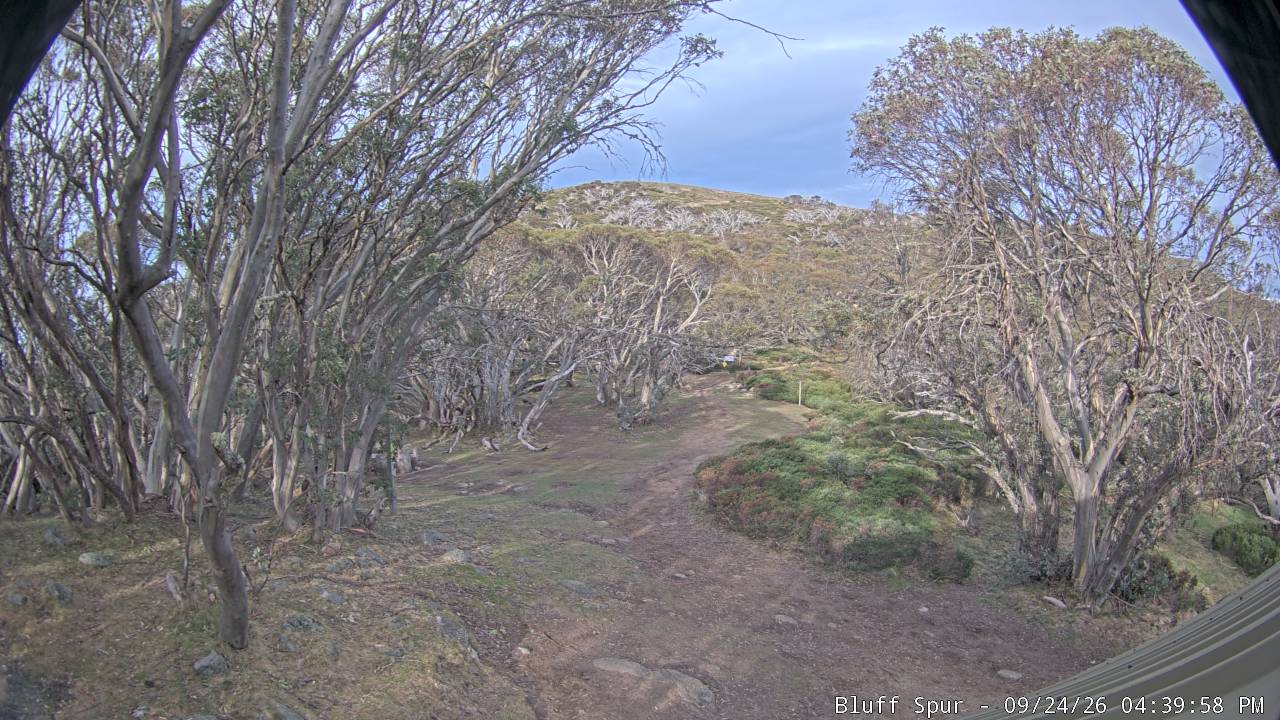 Mt Stirling Bluff Spur snow cam captured at 24 September 2026 at 4:48 pm AEST