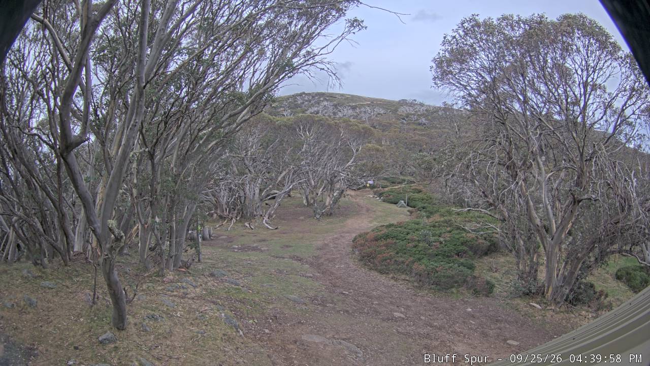 Mt Stirling Bluff Spur snow cam captured at 25 September 2026 at 4:41 pm AEST